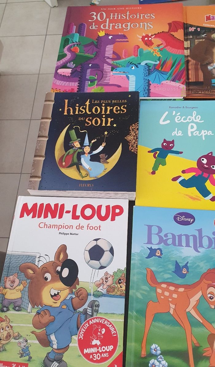 Divers livres pour les petits - photo numéro 4
