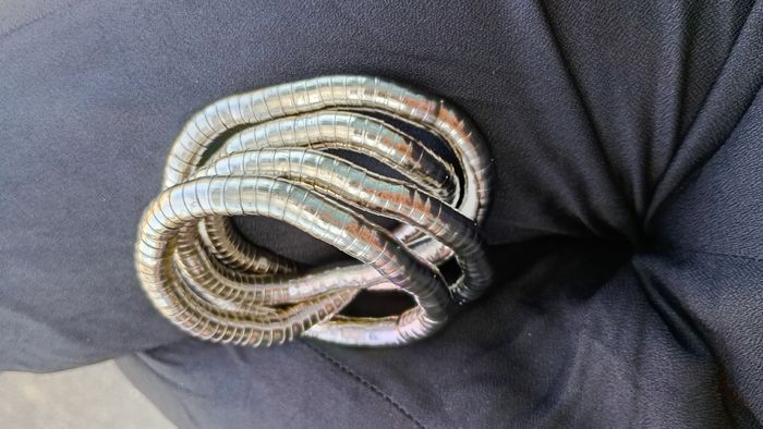 Bracelet argent - photo numéro 3