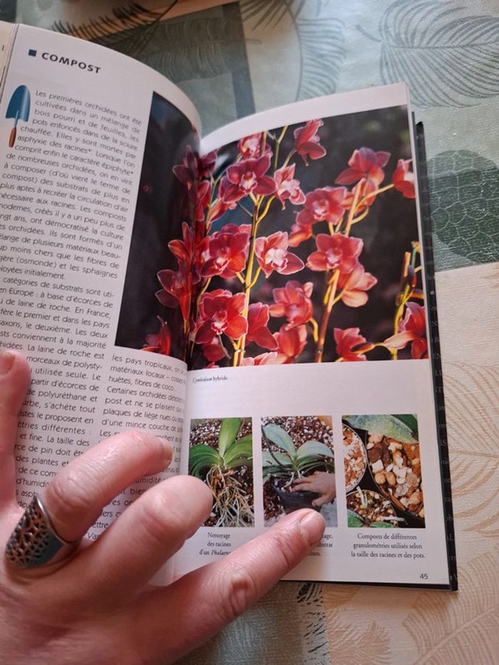 L' ABCdaire des orchidées - photo numéro 8