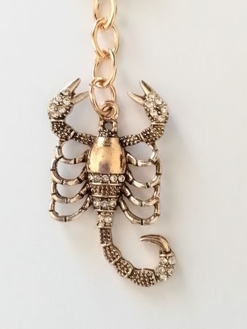 Porte-clés, scorpion