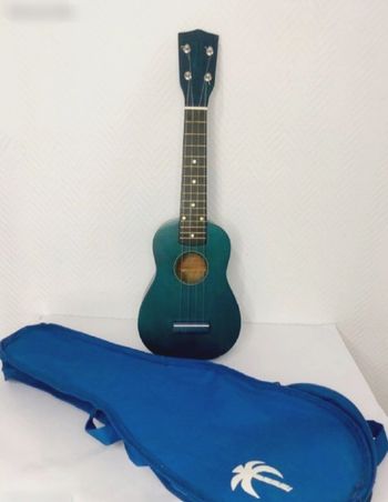 Ukulele x treme performance