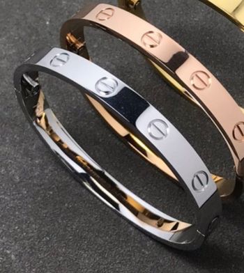 Bracelet en acier inoxydable / jonc