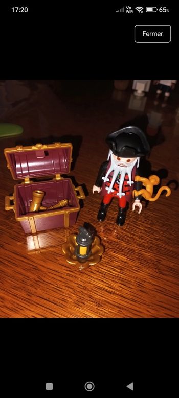 Pirate playmobil 