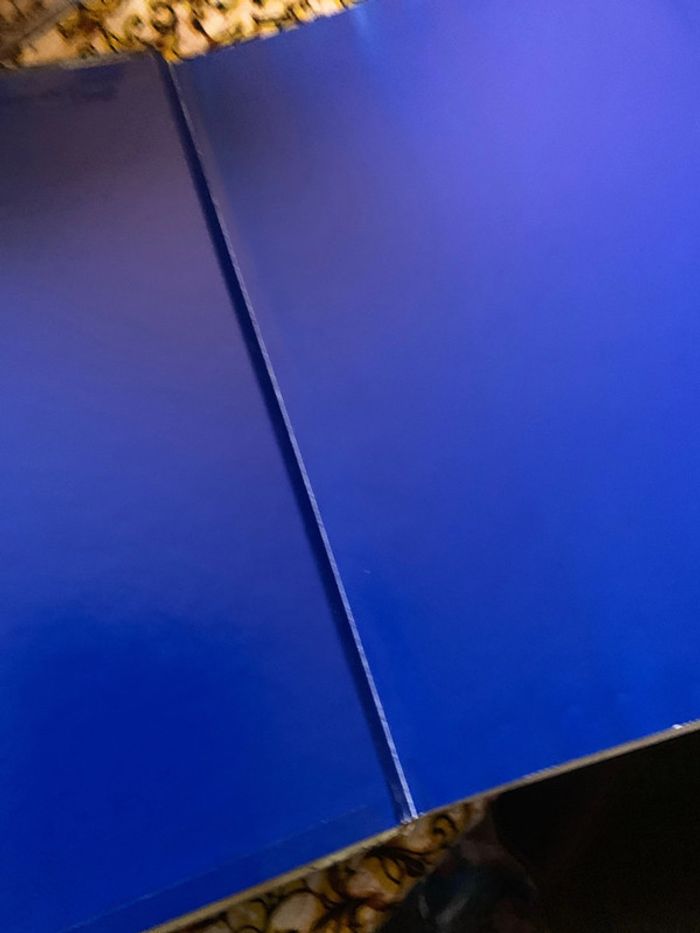 Le choix d Ivana - photo numéro 6