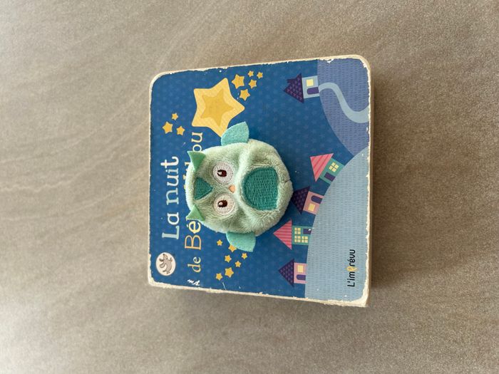 Livre "la nuit de bébé Hibou" - photo numéro 6