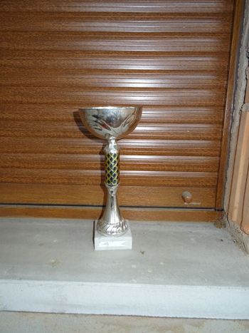 Coupe « losanges dorés & bleus »