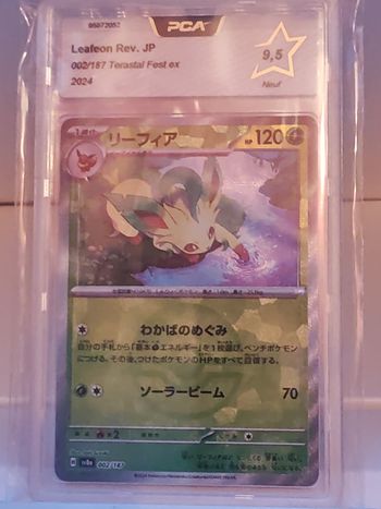 phyllali pokeball reverse de Terastal Festival