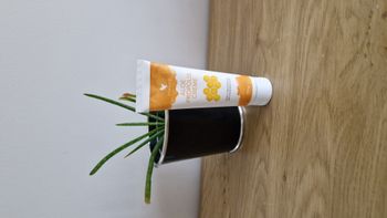 Aloe Propolis Crème Forever