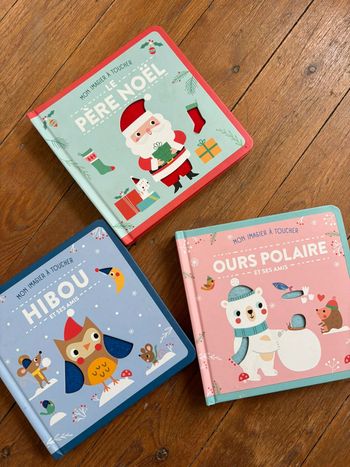 Lot de 3 livres feutrines