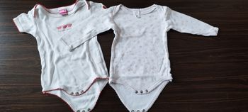 Lot 2 bodies