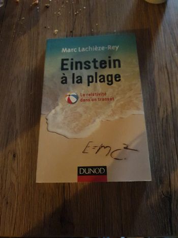 Einstein a la plage