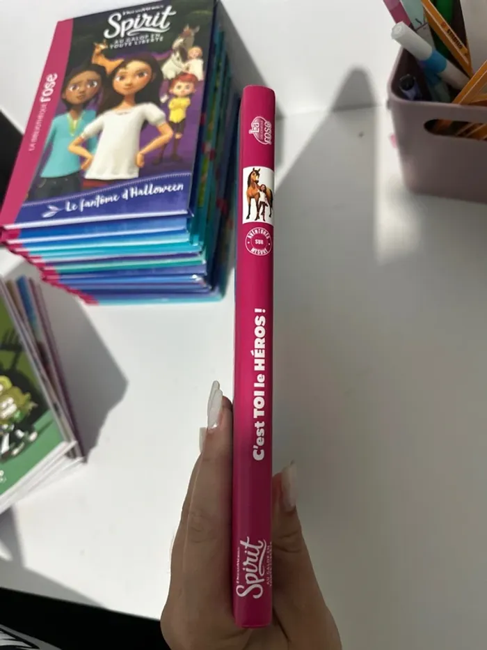 Livre Spirit - photo numéro 2