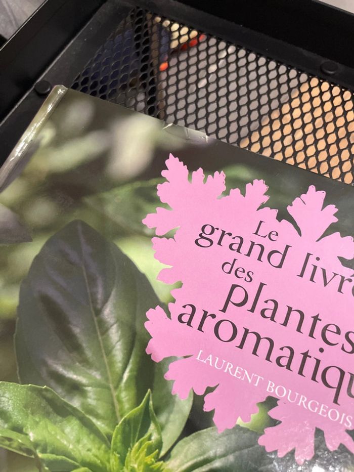 Le grand livre des plantes aromatiques - photo numéro 6