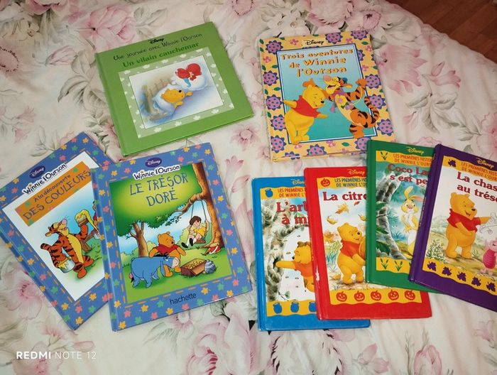 Lot de livre Winnie