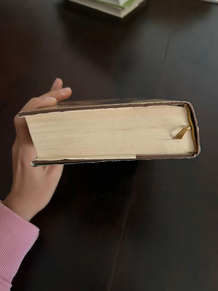 Livre la dentellière d’Alençon de Janine montupet - photo numéro 6