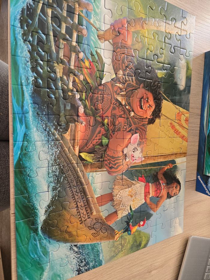 Puzzle vaina - photo numéro 3