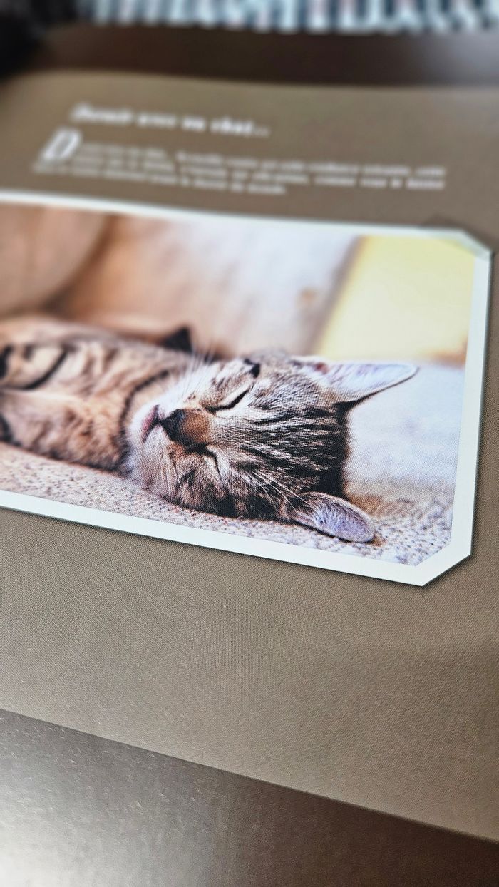 Chats - Anny Duperey - photo numéro 4