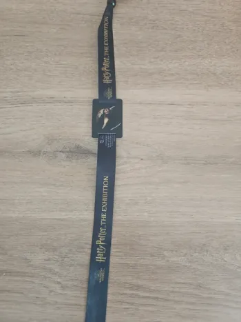 Bracelet collector Exposition Harry Potter