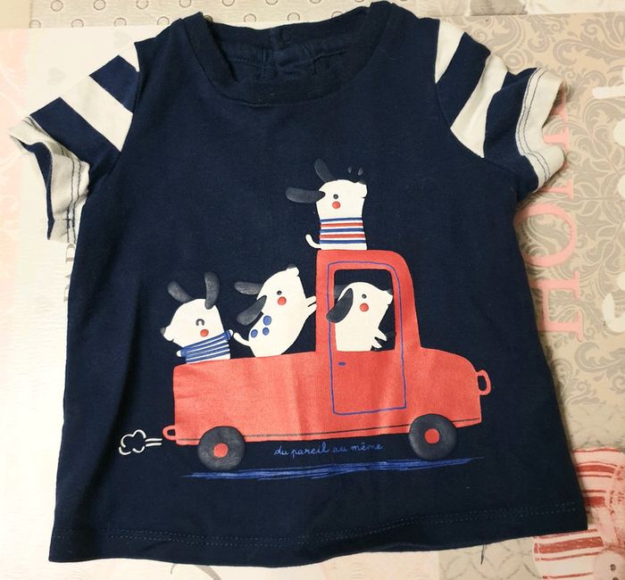 Ensemble petit chien - photo numéro 2