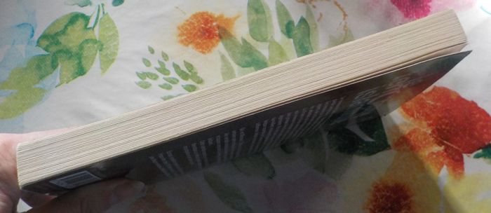 Le terrorisme islamique par Monsieur X et Patrick Pesnot - photo numéro 5