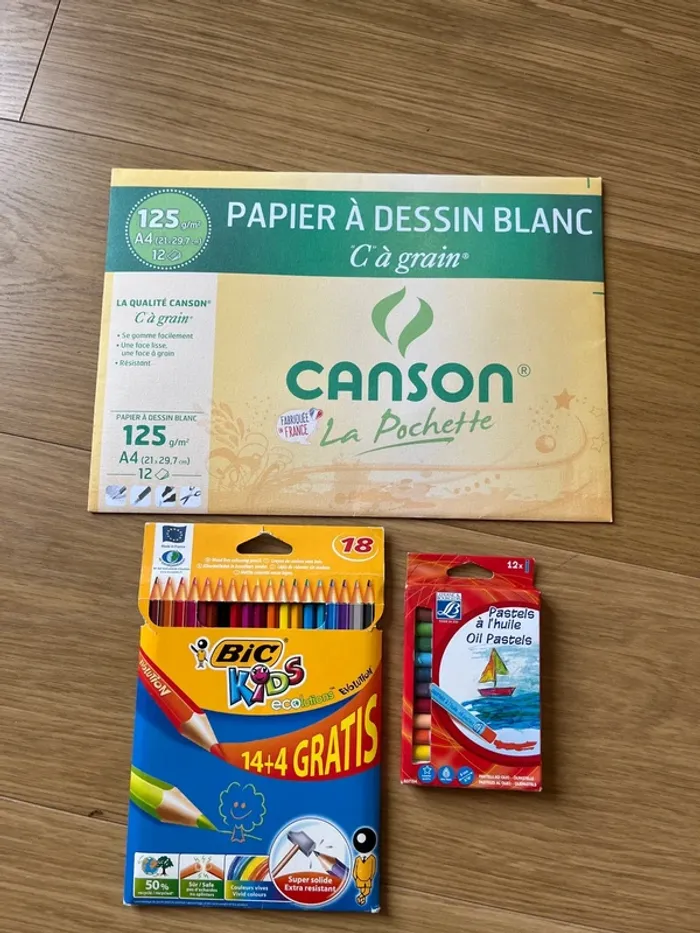 Papier Canson + crayon de couleur + pastels