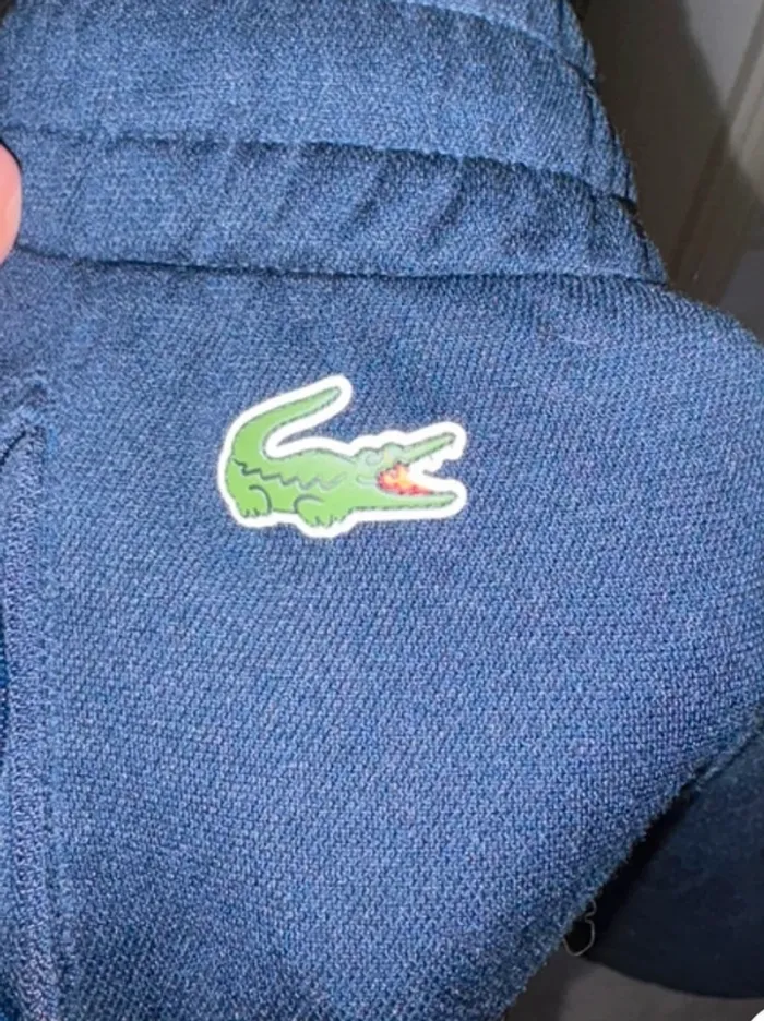 Pantalon de sport Lacoste - photo numéro 2