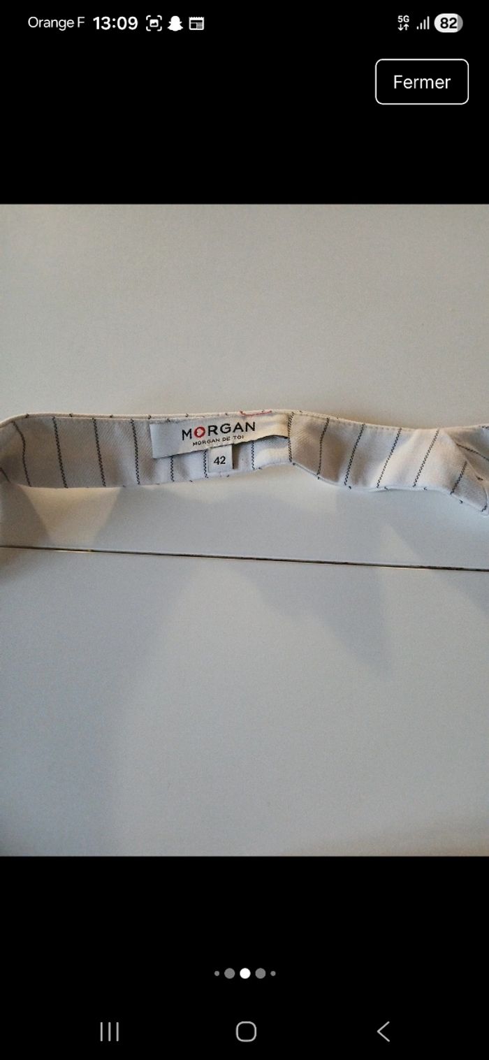 Morgan - photo numéro 5