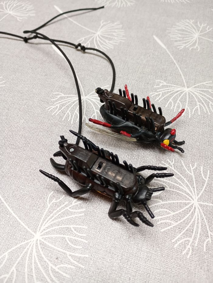 Insectes qui tremblent - photo numéro 2