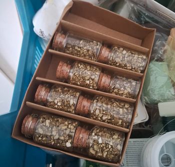 Lot de mini fioles en verre avec éclats dorés – déco mariage / DIY