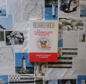 Les chroniques des furets - Furets des mers à la rescousse de Richard Bach