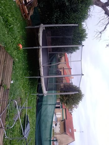 Trampoline