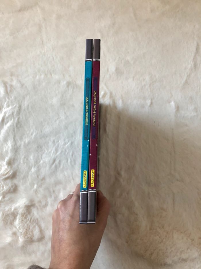 Lot 2 livres Collection Cher journal - photo numéro 4