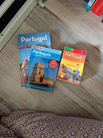Lot livres Portugal