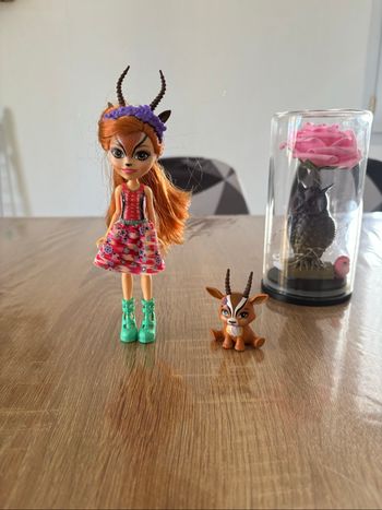 Poupée enchantimals