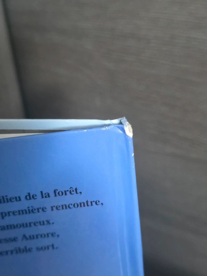 Livre Disney La belle au bois dormant - photo numéro 3