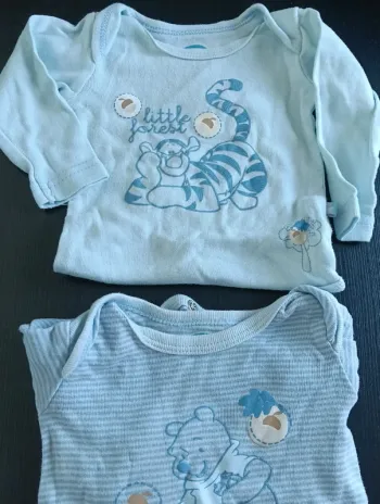Lot de 2 body manches longues Disney Winnie l'Ourson 3 mois