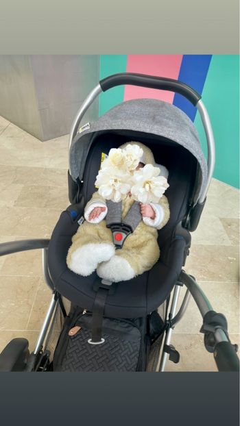 Siège auto cosy hauck duett 2 + adaptateurs