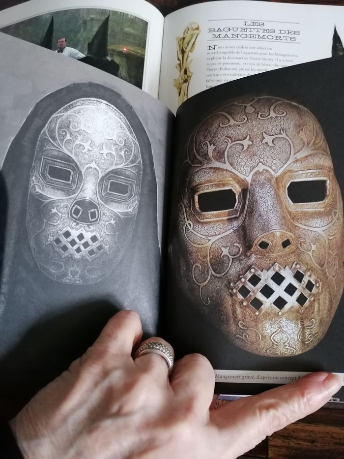 Livre la galerie des portraits. Sorciers, Moldus et autres Cracmols Harry Potter - photo numéro 6