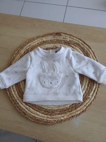 Pull 1 mois