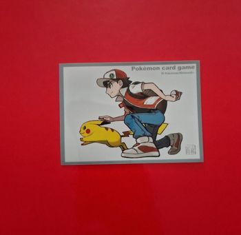 1 sleeve pokemon