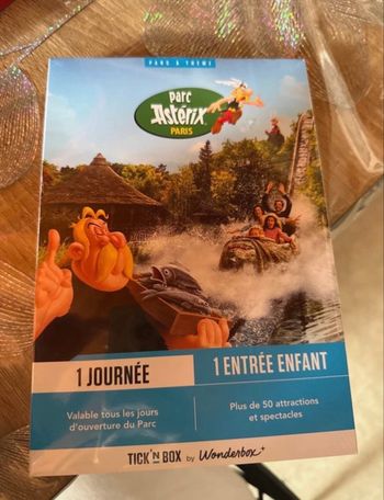 Place parc Astérix enfant 