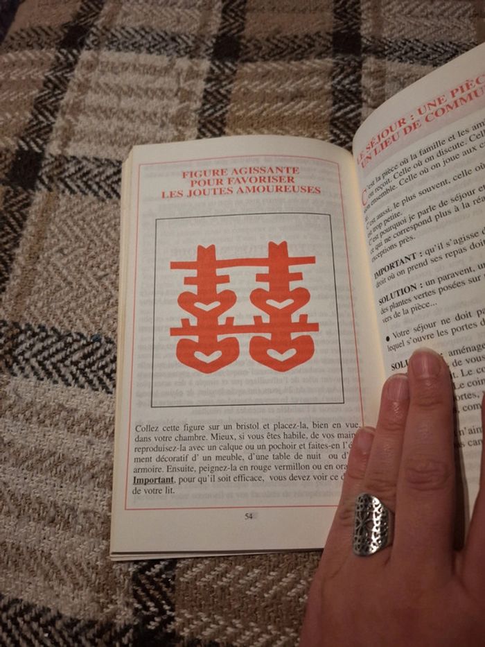 Feng shui. La force invisible universelle - photo numéro 6