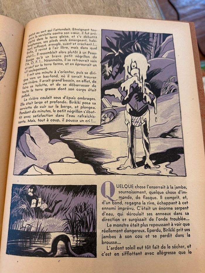 Livre ancien rare Birikiki dans la forêt vierge Roger Roux Pierre Probst éditions puits pelu Lyon - photo numéro 10