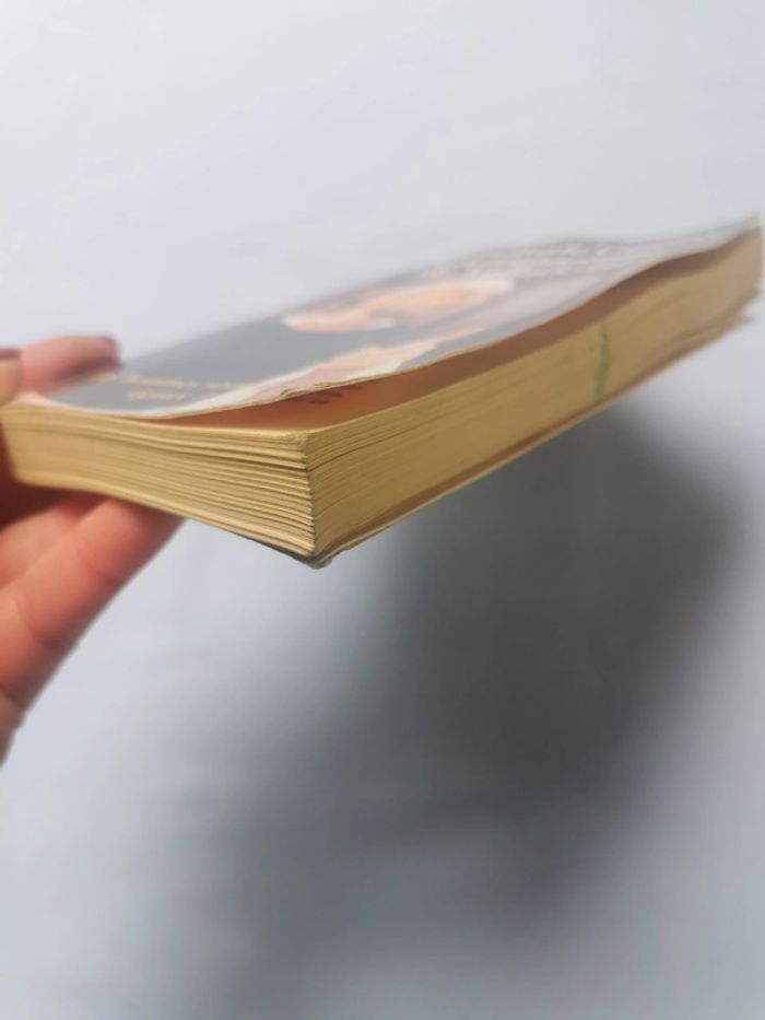 La Controverse de Valladolid, livre de Jean-Claude Carrière - photo numéro 7