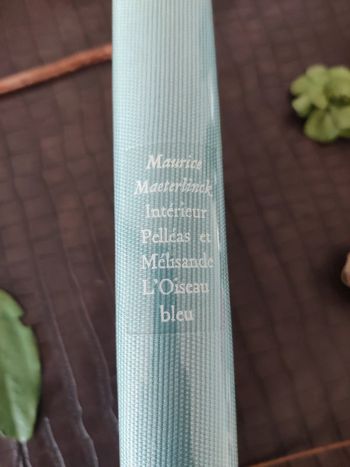 Intérieur Pelléas et Mélisande / L'oiseau bleu - Maurice Maeterlinck