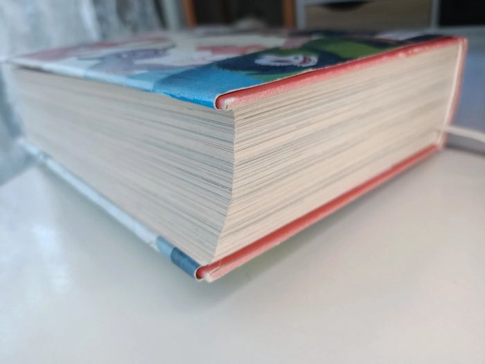 Livre illustration now! Portraits hors commerce (édition taschen italien, espagnol et portugais) - photo numéro 6