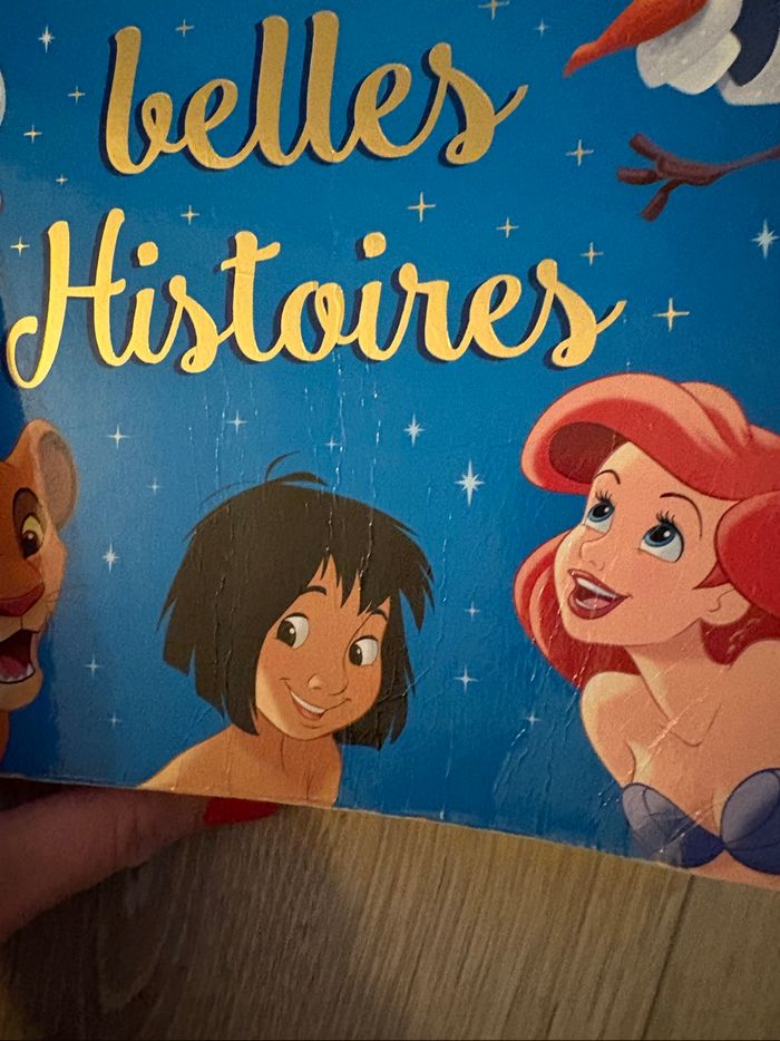 Mes plus belles histoires - photo numéro 2