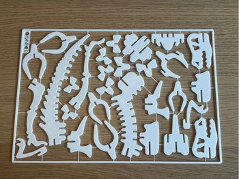 Puzzle 3D T-Rex - 29 pièces 