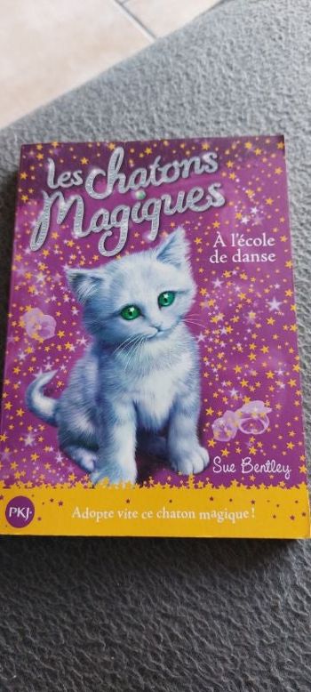 Livre leschatons magiques 7