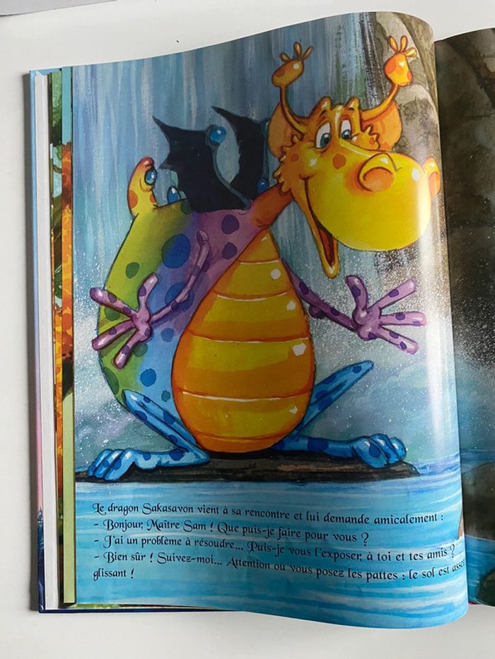 Livre Sakasavon - photo numéro 3